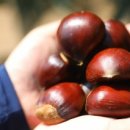 진공농장 이미지