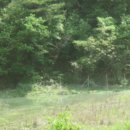 포항시북구32 이미지