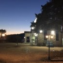 순흥애꽃 이미지