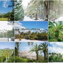 한림공원 이미지