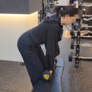 웰니스 휘트니스 | 상암동 헬스장 웰니스 휘트니스 피티 하체 근력 운동 후기 💪
