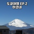 가야카써비스 | 도쿄 근교 하코네 여행 당일 코스 총정리 로망스카·검은계란·후지산 전망 후기