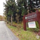 방장산자연휴양림 유아숲체험원 이미지