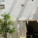 카페 펀치즈 이미지