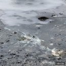 호텔오유 | 지옥계곡 오유누마 오쿠노유 센겐공원 - 일본 홋카이도 노보리베츠 온천 당일치기 와쿠와쿠 버스 투어