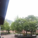 이진아도서관 이미지