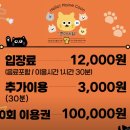 내친구고양이 | [안산 카페] 안산 데이트 | 고양이 카페 쿤이네집 후기