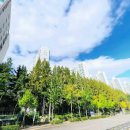 화명동 명진중학교 이미지