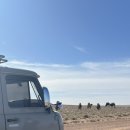 에덴주유소 | 몽짱일기 :: 10월 겨울몽골 고비사막(4) day2-1 낙타 자만추하고 마트 장보기