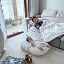 [제주 혼여] 폭삭 좋았수다