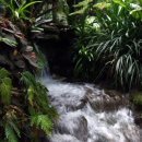 스프링데이 이미지