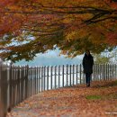 강변이야기펜션 이미지