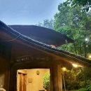 박터진흥부네 이미지