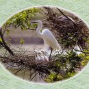 함평학다리고등학교 이미지