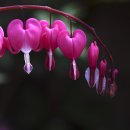 경천 이미지
