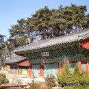 가좌리 석조약사여래좌상 | 청원...구룡산 안심사