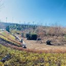 제주그루 이미지