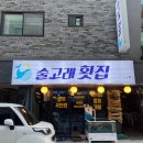 [청주/술고래횟집] 사창동 충북대 술집 횟집 맛집 광어회 날치알주먹밥 평일 방문 후기