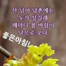 아라공인중개사사무소 이미지