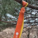 석성중앙가스 | 선학역 3번 출구-문학산