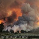 제로상점 이미지