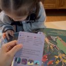 방방곡곡 그림책 세계탐험 | [공구예고] 영재의 책장 쏘맘 단독 한정수량 오픈! 4-6세 창작