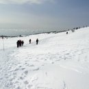 제주 한라산 산행지 안내 이미지