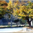 영월아프리카미술박물관 이미지