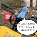 뭐 이래저래 있었던 일들 요 ㅡ 약