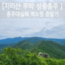 중산리 마을회관 | [지리산 무박 성중종주] 종주대실패 벽소령 중탈기