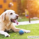 알잘딱깔센 이미지