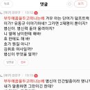 태극기부대 조스 강삥구 이미지