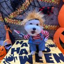 우리동네 상하안경 | 내가 8월달 일을 어. 떻. 게. 기억해.