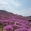 4월 15일 대구 비슬산 진달래 산행 (참조) 이미지