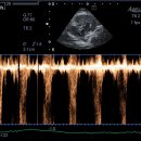 헬릭스동물메디컬센터 이미지