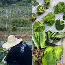 호기농장 이미지