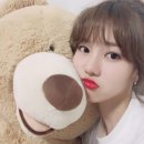 단디 이미지