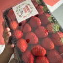 채원농원 이미지