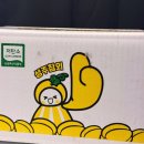 성주가든 | 쿠팡에서 구입한 성주 못난이 흠집 고당도 참외 후기