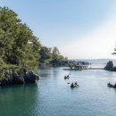 유채꽃과 바다의 완벽한 조화 제주 남쪽 여행지 BEST 4 이미지