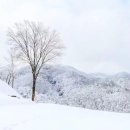 산양목장 이미지