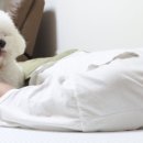 퀸컴퍼니 이미지