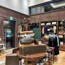 명품구제여행 이미지