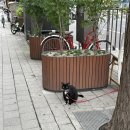 튼튼나무의원 | [후기]자연튼튼의원_편평사마귀제거