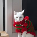 논골로61번길 이미지