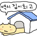 명진건어물 이미지