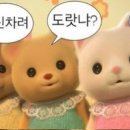 커몬커몬