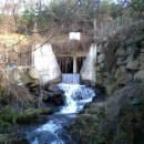운산천 Daum카페