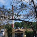 주공디스카운트 이미지