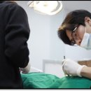 부원뉴욕치과병원 이미지